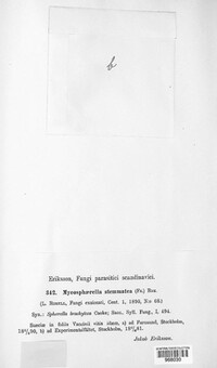 Mycosphaerella stemmatea image